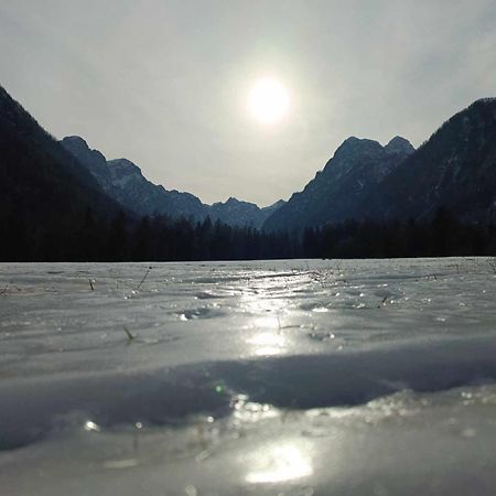 Turisticna Kmetija Psnak Διαμέρισμα Mojstrana Εξωτερικό φωτογραφία