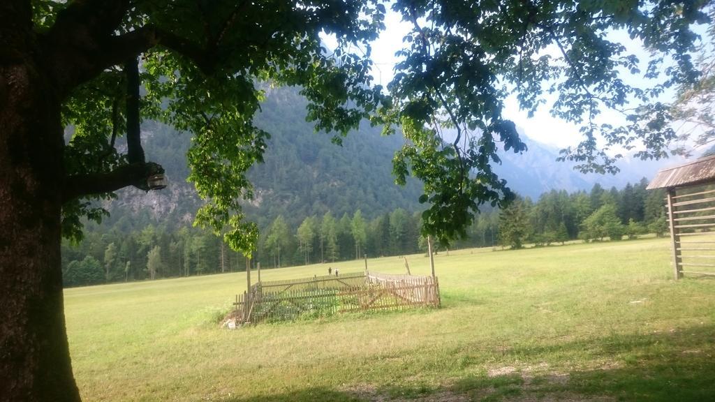 Turisticna Kmetija Psnak Διαμέρισμα Mojstrana Εξωτερικό φωτογραφία