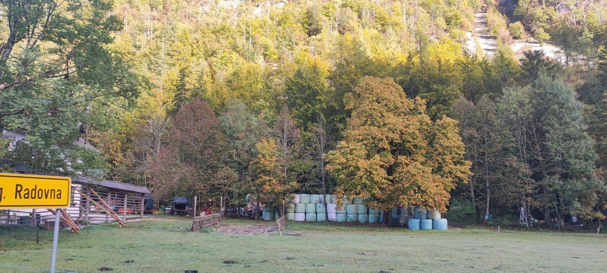 Turisticna Kmetija Psnak Διαμέρισμα Mojstrana Εξωτερικό φωτογραφία