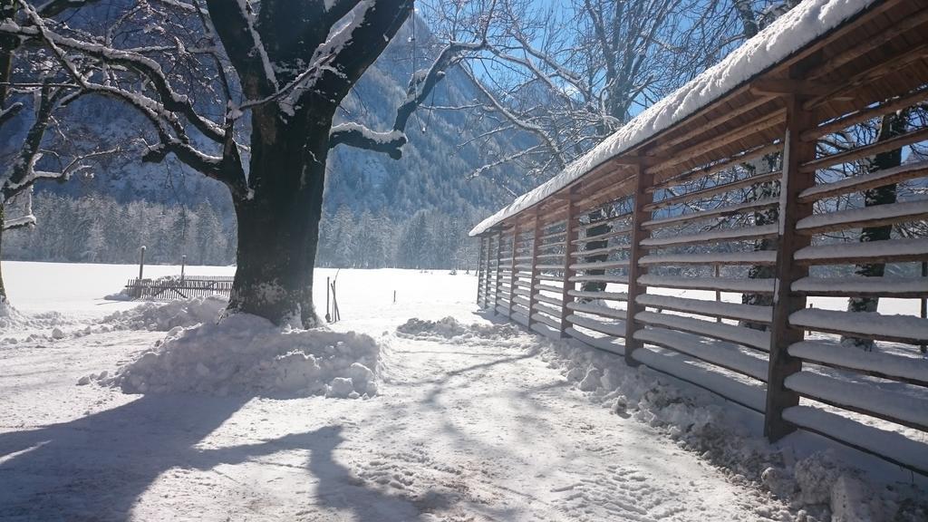 Turisticna Kmetija Psnak Διαμέρισμα Mojstrana Εξωτερικό φωτογραφία