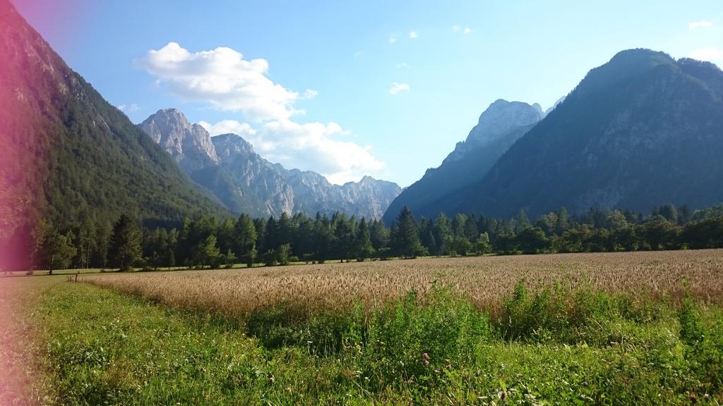 Turisticna Kmetija Psnak Διαμέρισμα Mojstrana Εξωτερικό φωτογραφία