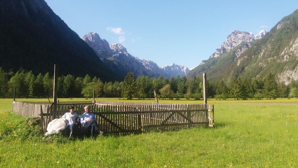 Turisticna Kmetija Psnak Διαμέρισμα Mojstrana Εξωτερικό φωτογραφία